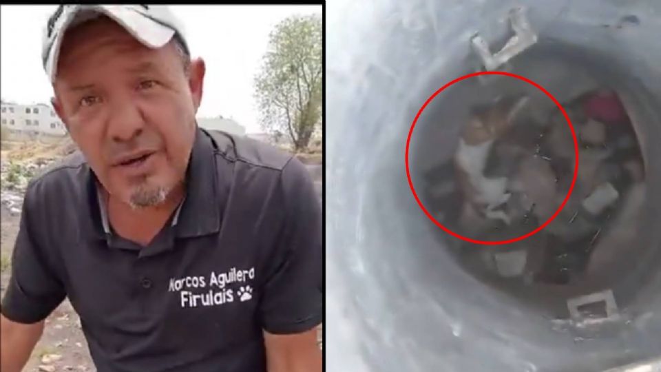 Marcos Aguilera, un rescatista que atendió el reporte de los vecinos de Brisas del Campestre, y salvó a la perrita que hace unos días fue maltratada y lanzada al interior de un pozo