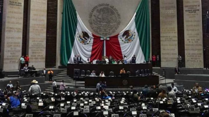 Exconsejeros y exmagistrados piden al INE evitar “representación distorsionada”