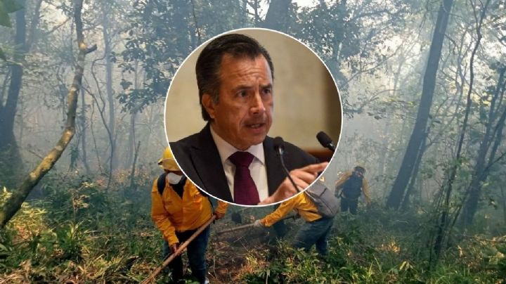 Empresarios de Veracruz envían carta a Cuitláhuac García por incendio forestal