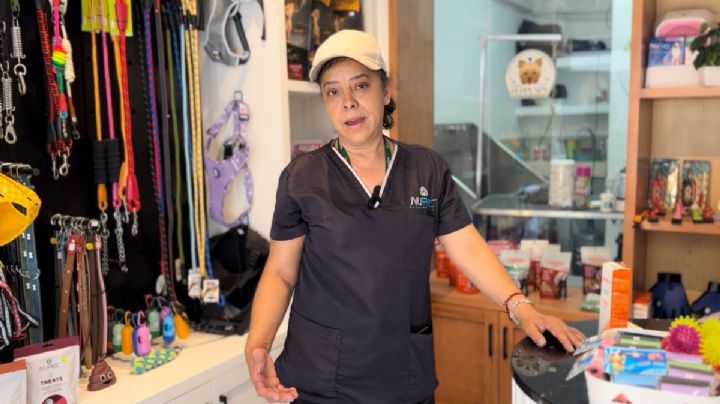 Agua contaminada en Benito Juárez: "Mis clientes bajaron por desconfianza y mis costos subieron"