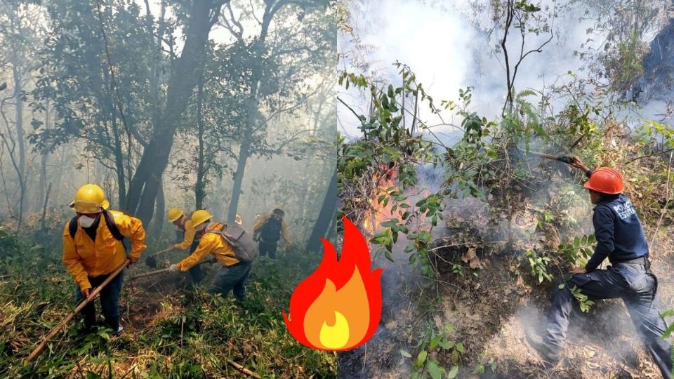 Estos son los incendios forestales activos en Veracruz hoy miércoles 17 de abril