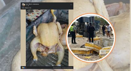 En Facebook, venden pollos robados en rapiña, tras accidente en Rinconada