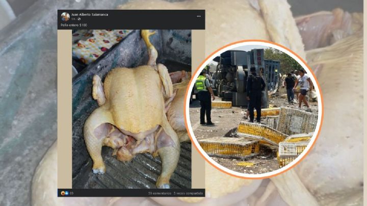 En Facebook, venden pollos robados en rapiña, tras accidente en Rinconada