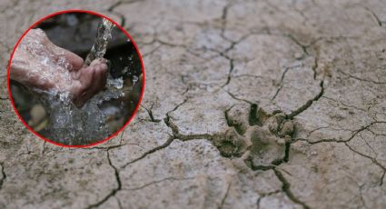 Campesinos de Guanajuato usan aguas negras para regar cultivos por la sequía
