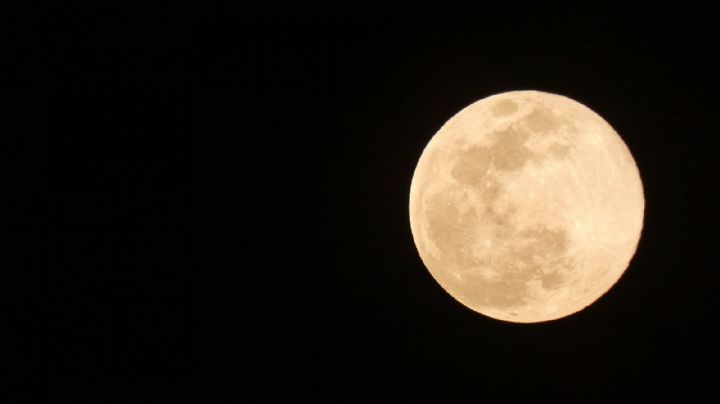 Luna Rosa 2024: ¿Qué es y cuándo se verá en Guanajuato?