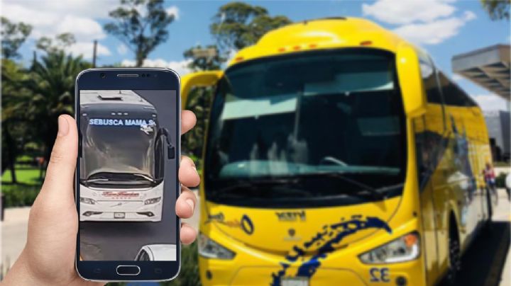 Autobús en Pachuca desata polémica con este mensaje | VIDEO