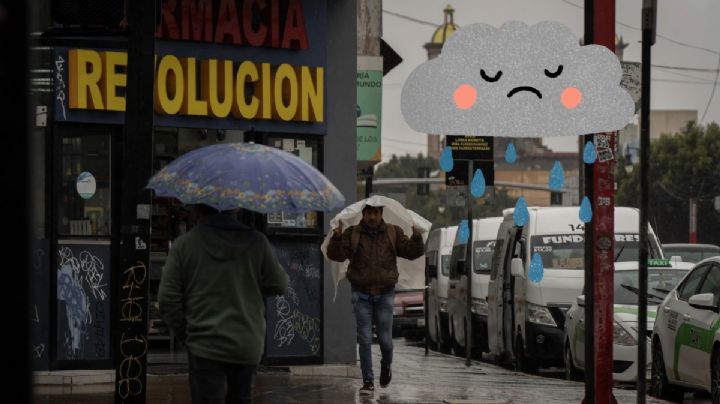 Edomex: Lluvias dejan inundaciones y caída de árboles | FOTOS