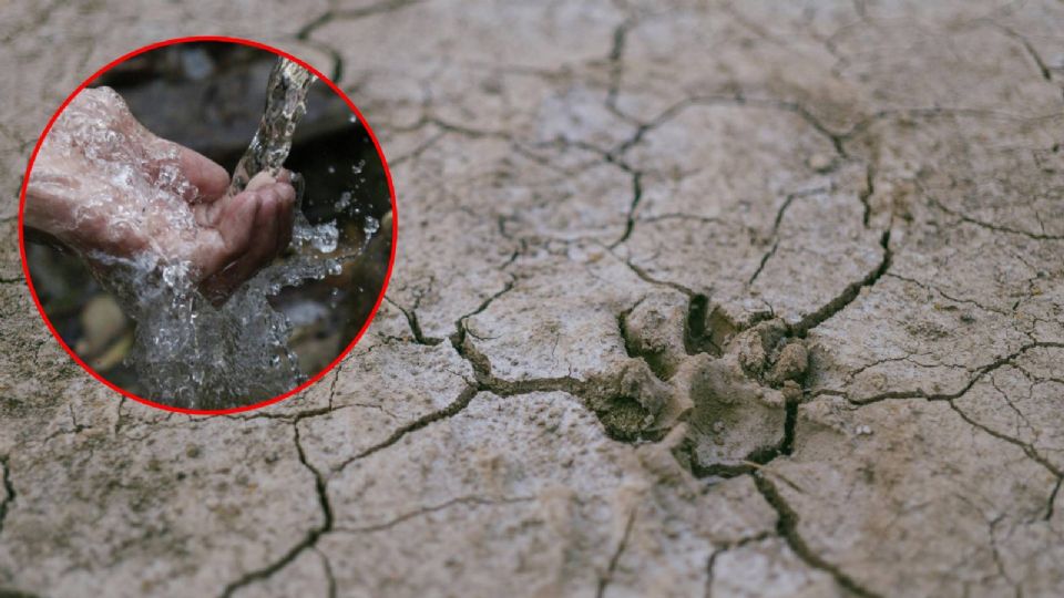 Los agricultores carecen de la falta de apoyo por parte de las autoridades y también de la escasez de lluvias, por lo que han tenido que utilizar otras medidas extremas.