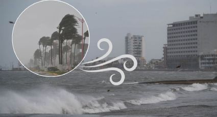 Frente frío 45 en Veracruz: Norte de 95 km/h y lluvias; así será su paso