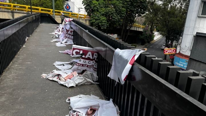 "Basura electoral", avalada por el IECM y preocupación para Greenpeace