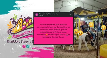 Muere animal en Feria de Banderilla y animalistas convocan a cerrar el recinto hoy domingo 21 de abril