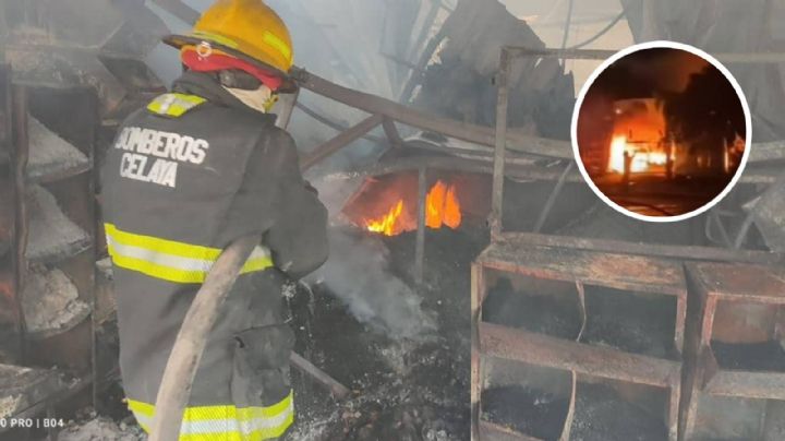 Arden 122 locales de la Ampliación de Abastos de Celaya