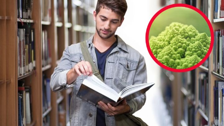 Estas son las 5 carreras que puedes estudiar en México; son consideradas las más raras