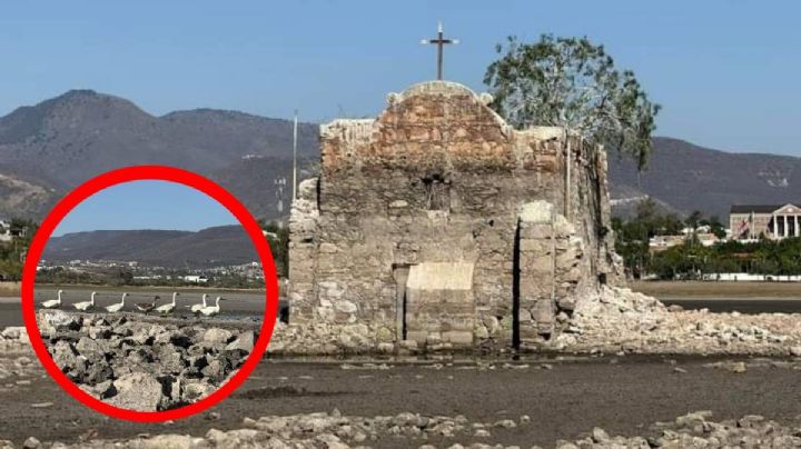Día Cero en Guanajuato: Esta es la primera ciudad de México que se quedaría sin agua