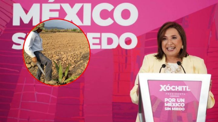 Vendrá Xóchitl Gálvez el 6 de mayo a Guanajuato