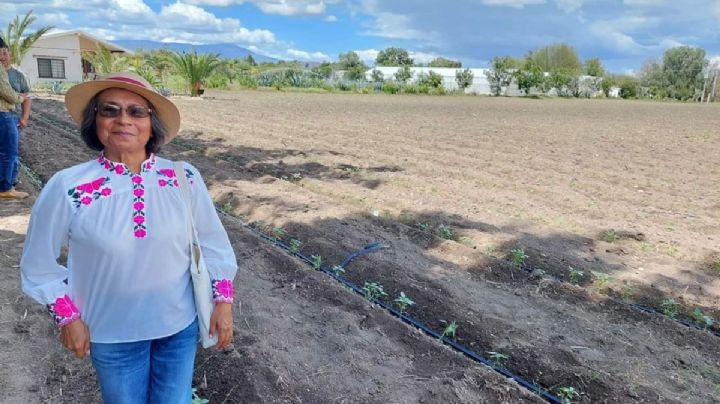 Morenista realiza campaña como candidata no registrada, de esto se trata
