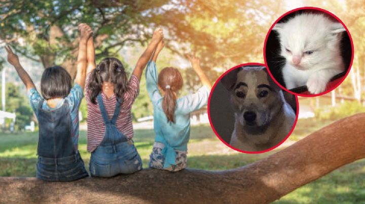 Estos son los mejores memes del Día del Niño 2024; los adultos son los más felices