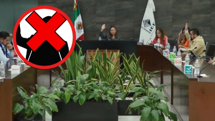 Pone el pie IEEH a candidaturas por sobrerregulación de acciones afirmativas