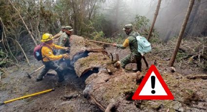 Apagan fuego en las Altas Montañas de Veracruz; siguen activos 4 incendios en otros municipios