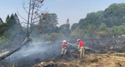Incendios forestales en Edomex, no dan tregua