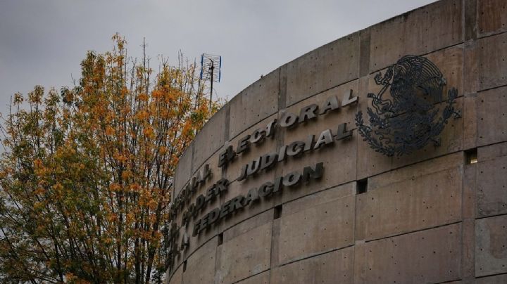 TEPJF ordena corregir cómputo final de diputaciones federales en Xalapa