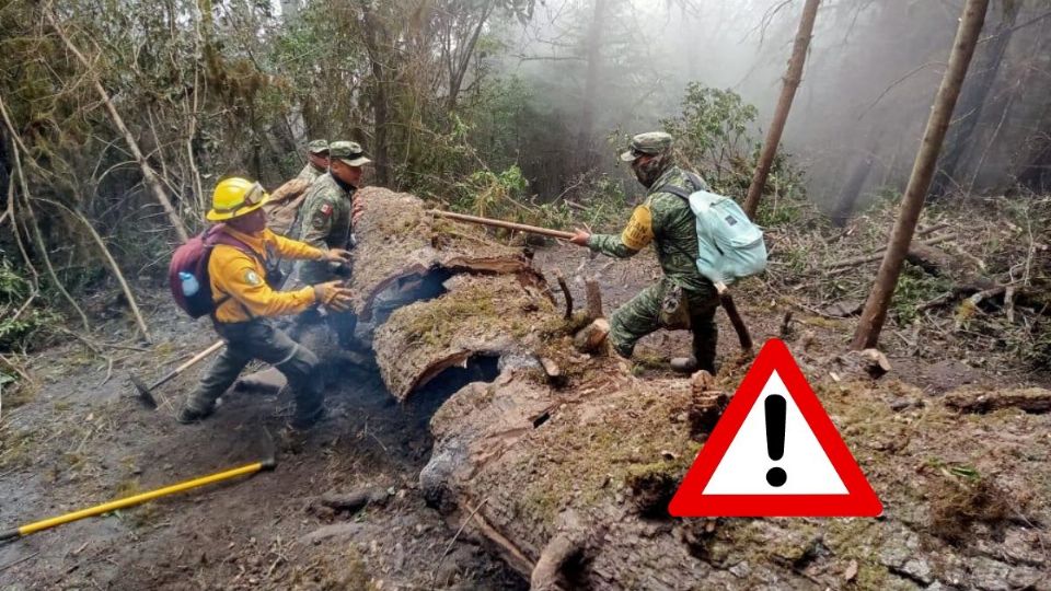 Apagan fuego en las Altas Montañas de Veracruz; siguen activos 4 incendios en otros municipios