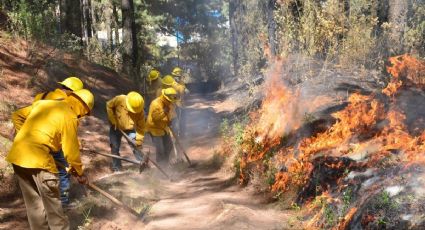 Se mantienen activos dos incendios forestales en Edomex