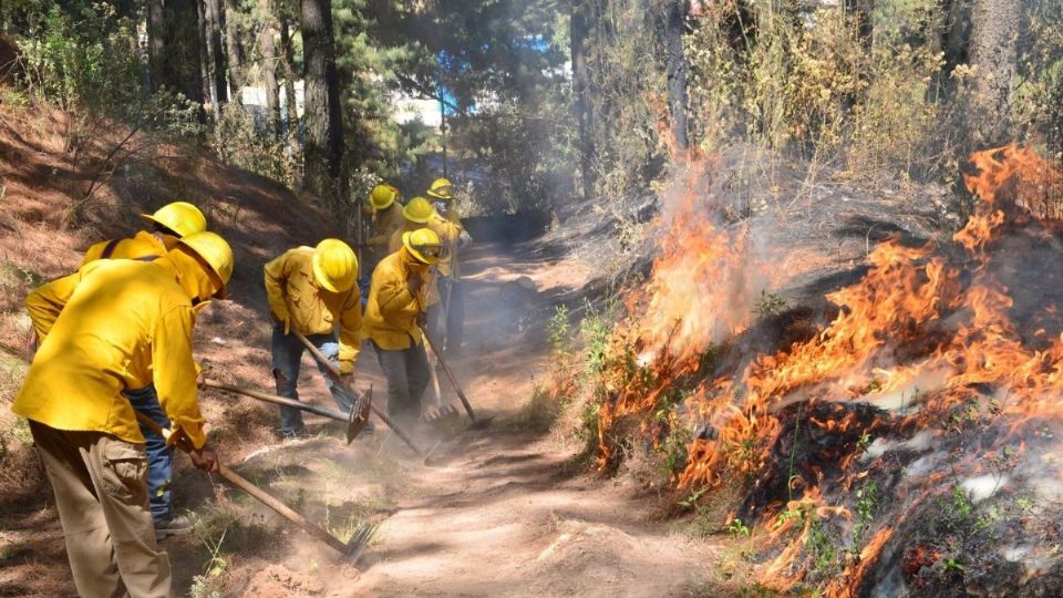 Se mantienen activos dos incendios forestales en Edomex