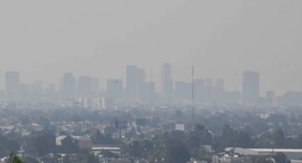 El origen de Eli Cami, empresa de Sheinbaum señalada como una de las más contaminantes