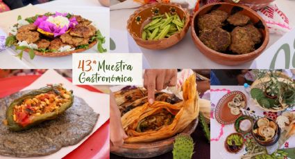 Variedad de sabores, colores y platillos en Muestra Gastronómica de Santiago de Anaya I Fotos
