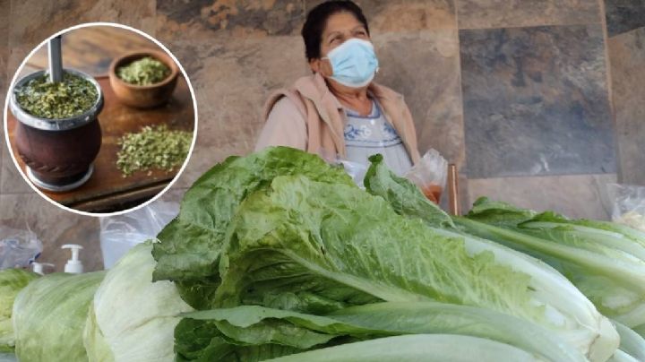 ¿Quiénes son los Panzas Verdes de Argentina?