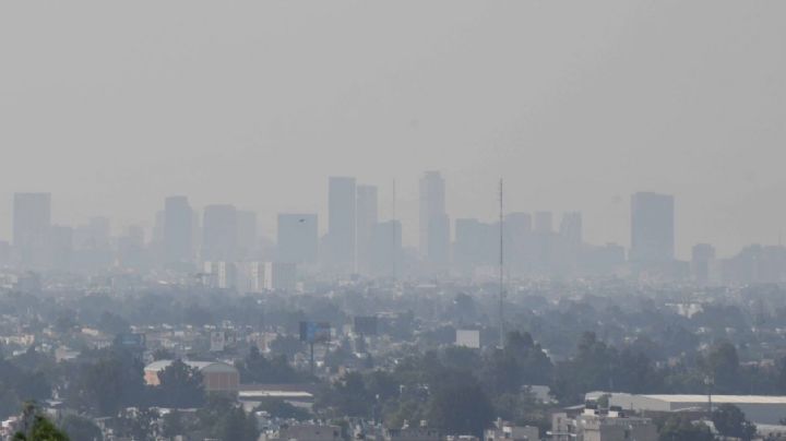 El origen de Eli Cami, empresa de Sheinbaum señalada como una de las más contaminantes