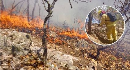 Incendios forestales en Edomex: Daños de 624 siniestros  superan las 15,000 hectáreas