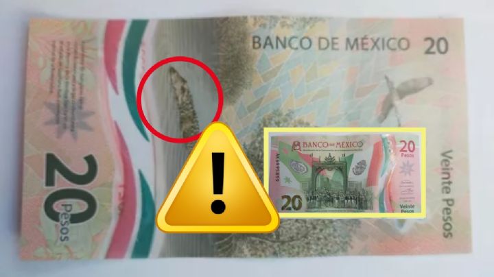Así es el billete de 20 que se vende en 1,200,000 pesos; adiós prima vacacional