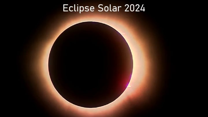 Eclipse solar: México se quedó en la penumbra, así se vivió en los estados| VIDEOS y FOTOS