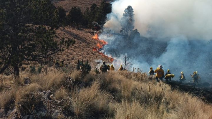Castigan incendios forestales a Hidalgo, afectan más de 2 mil hectáreas
