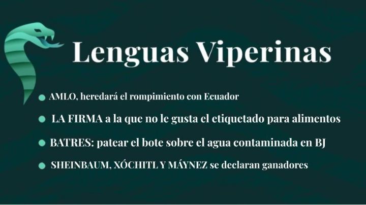 Lenguas Viperinas