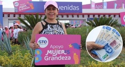 Suspenden entregas de dinero de Tarjetas Rosa por veda en Guanajuato: te explicamos por qué