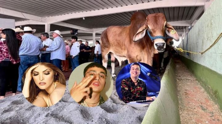 Esta es la cartelera de artistas para la Ganadera Ylang Ylang en Boca del Río