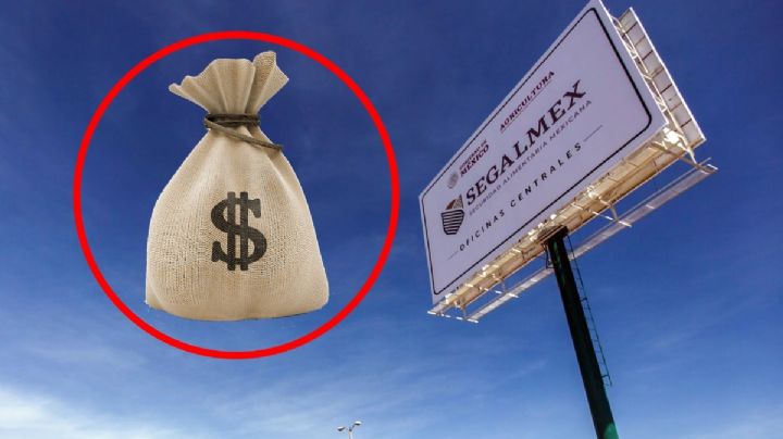 Segalmex, la historia de corrupción y fracaso de la 4T