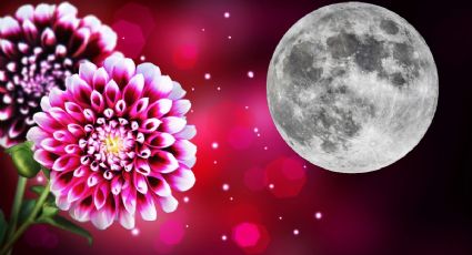Luna de Flores: ¿por qué se llama así y cuándo será visible en Hidalgo?