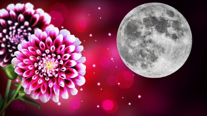 Luna de Flores: ¿por qué se llama así y cuándo será visible en Hidalgo?