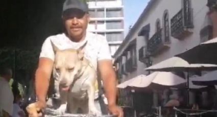 La chata, la perrita que aprendió a andar en bicicleta en León