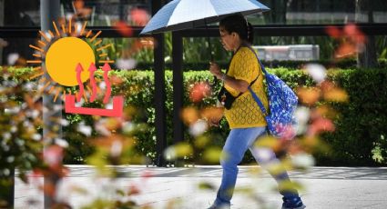 Calor en Veracruz: Estas serán las temperaturas máximas para los próximos días