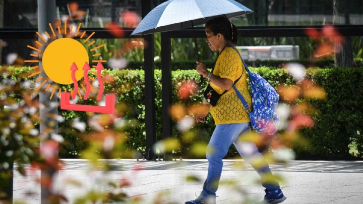Calor en Veracruz: Estas serán las temperaturas máximas para los próximos días