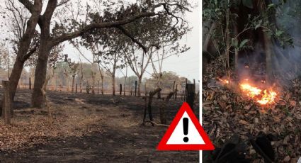 Emergencia en Villa Juanita por incendio forestal, pobladores piden ayuda