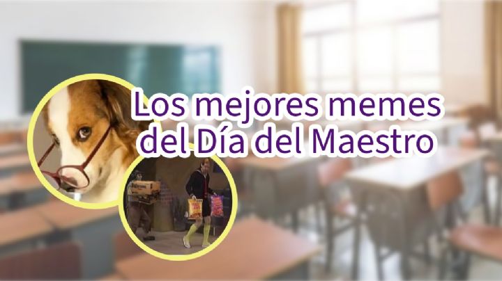 Los mejores memes para festejar el 15 de mayo, Día del Maestro