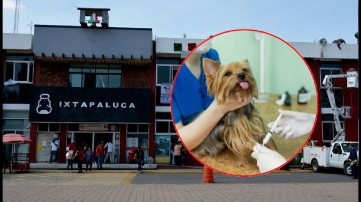 Denuncian cancelación  de jornada de esterilización en Ixtapaluca