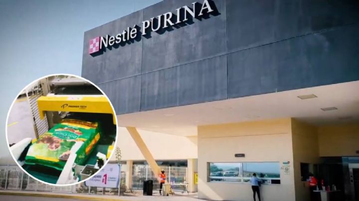 Invertirá Nestlé más de 200 millones de dólares en su planta de Silao	