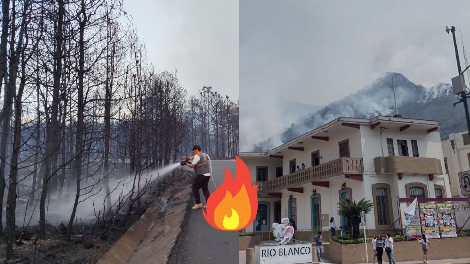 4 incendios forestales activos en Veracruz; esto reportan autoridades